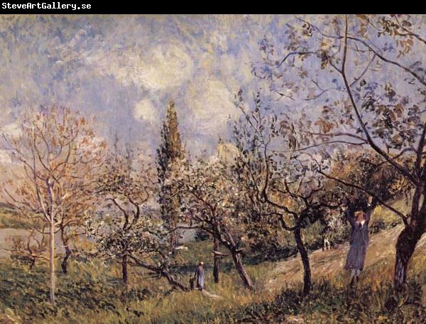 Alfred Sisley Orchard in Sping-By